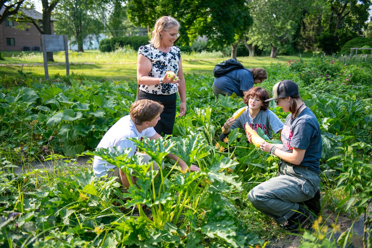 The Alliance Gardens: Bees, Produce, and Christian Stewardship